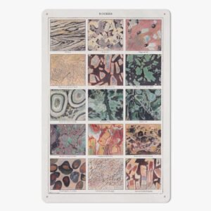https://jetprint-hkoss.oss-accelerate.aliyuncs.com/merchantUpload/57713/1d2854a034e241899150d0240dace3fd.jpg