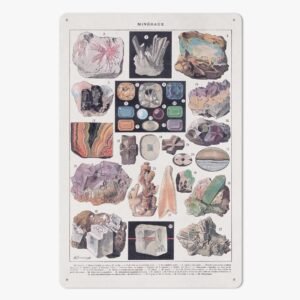 https://jetprint-hkoss.oss-accelerate.aliyuncs.com/merchantUpload/57713/29f2cfd7910a441e929495886b35627f.jpg