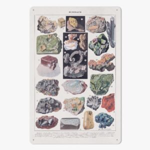 https://jetprint-hkoss.oss-accelerate.aliyuncs.com/merchantUpload/57713/516e1be146f74b9795805c1ec4c33095.jpg