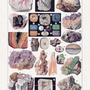 Restored chromolithograph of mineral types