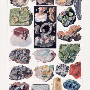 Vintage illustrated plate of minerals