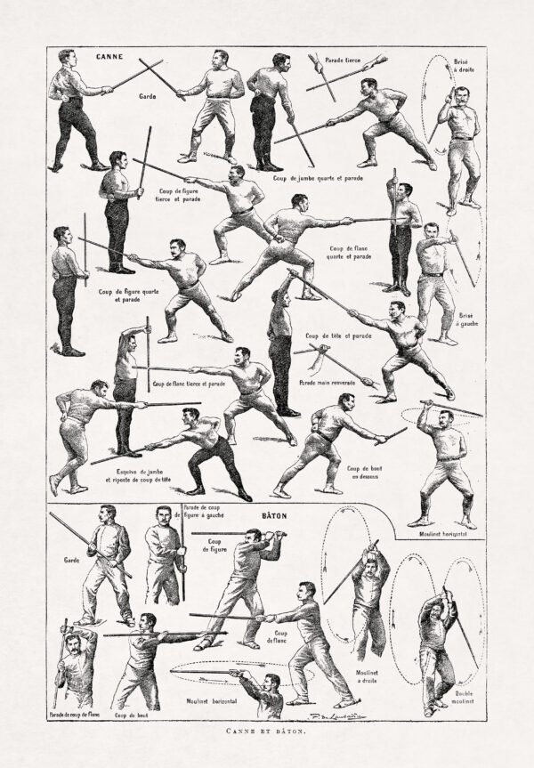 French martial art Savate stick and staff moves