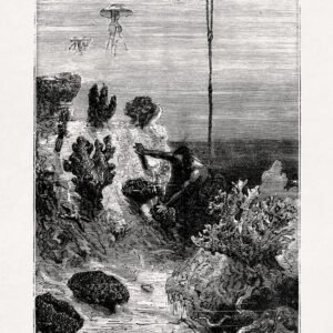 Native sponges diver off the coast of Ceylon