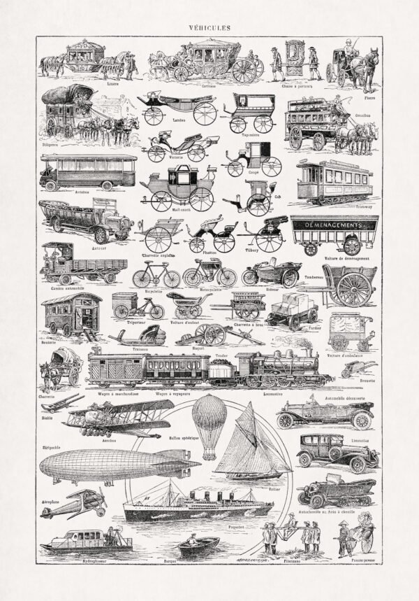 Vintage engraving about the different type of vehicles