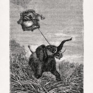 The Victoria towed by an elephant - Five weeks in a balloon