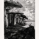 The Mushroom Forest - Journey to the Center of the Earth