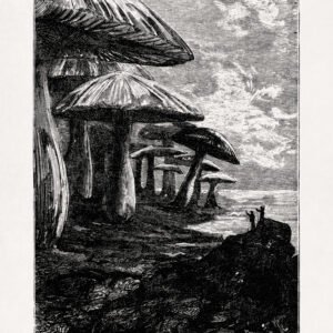 The Mushroom Forest - Journey to the Center of the Earth