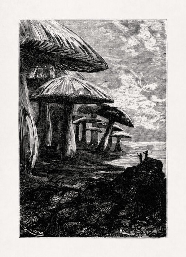 The Mushroom Forest - Journey to the Center of the Earth