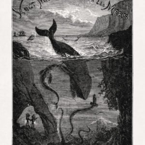 Twenty Thousand Leagues Under the Seas