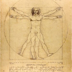 The Vitruvian Man by Leonardo da Vinci