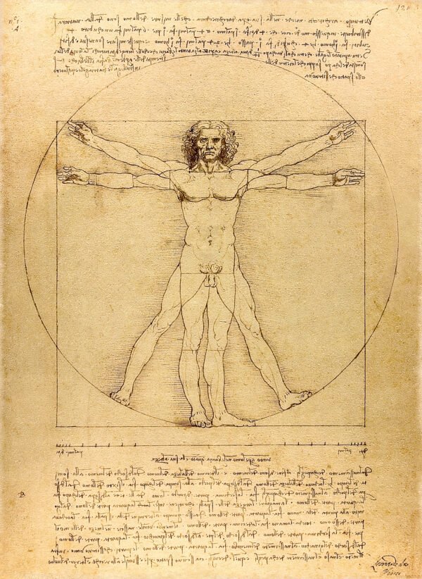 The Vitruvian Man by Leonardo da Vinci