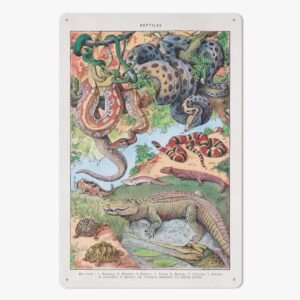 https://jetprint-hkoss.oss-accelerate.aliyuncs.com/merchantUpload/57713/bf59fa39ccf34ac3b7a22150a08b5ce9.jpg