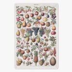 https://jetprint-hkoss.oss-accelerate.aliyuncs.com/merchantUpload/57713/ca6f290d04464ec3accb43ba43d575cd.jpg