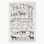 https://jetprint-hkoss.oss-accelerate.aliyuncs.com/merchantUpload/57713/d55ea8a05bc84fbabf89b464bc96d08b.jpg