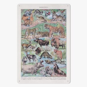 https://jetprint-hkoss.oss-accelerate.aliyuncs.com/merchantUpload/57713/eaac165cb71e4438b0edc59c65db7651.jpg