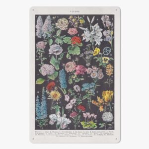 https://jetprint-hkoss.oss-accelerate.aliyuncs.com/merchantUpload/57713/f2d1c26a7f924e4badcbec01864d9595.jpg