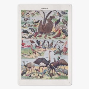 https://jetprint-hkoss.oss-accelerate.aliyuncs.com/merchantUpload/57713/f32dd0fbd4d34f3999fc9d8f6470ac21.jpg