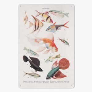 https://jetprint-hkoss.oss-accelerate.aliyuncs.com/merchantUpload/57713/f9c0788c0a9d4968b2c9f68a36d96bfd.jpg